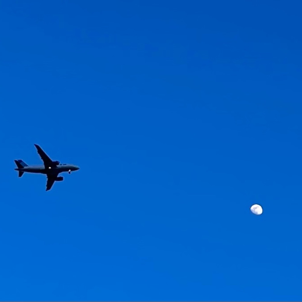 Meet your Posher, Blue